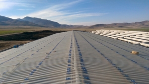 kardesler tavukculuk